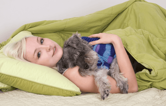 A Pet Parent's Guide to Dog Grooming Basics: Enhancing Your Skills with Groomsaber Blades